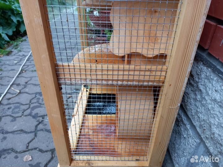 Витрина для грызунов