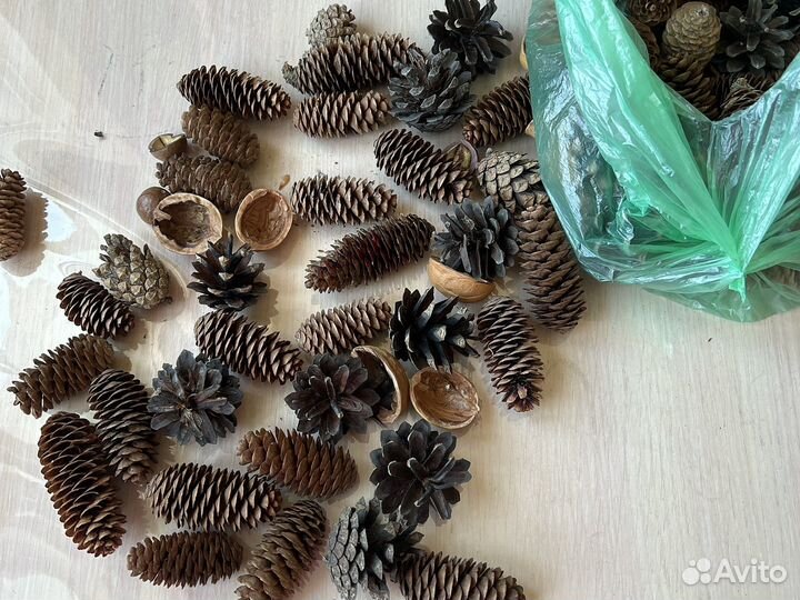 Шишки для поделок