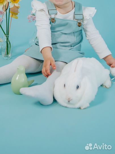 Комплект на девочку 92