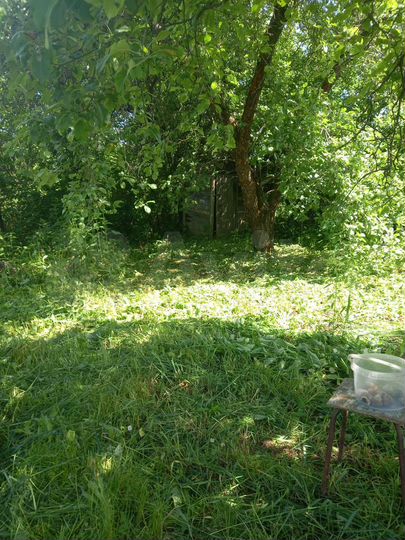 Дача 20 м² на участке 5 сот.