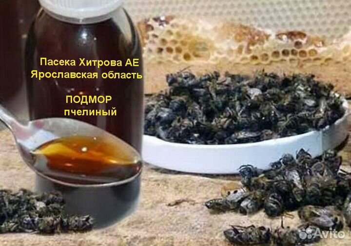 Отвар подмора пчелиного