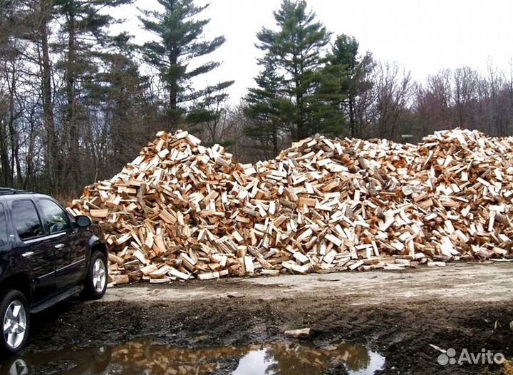 Дрова ольха