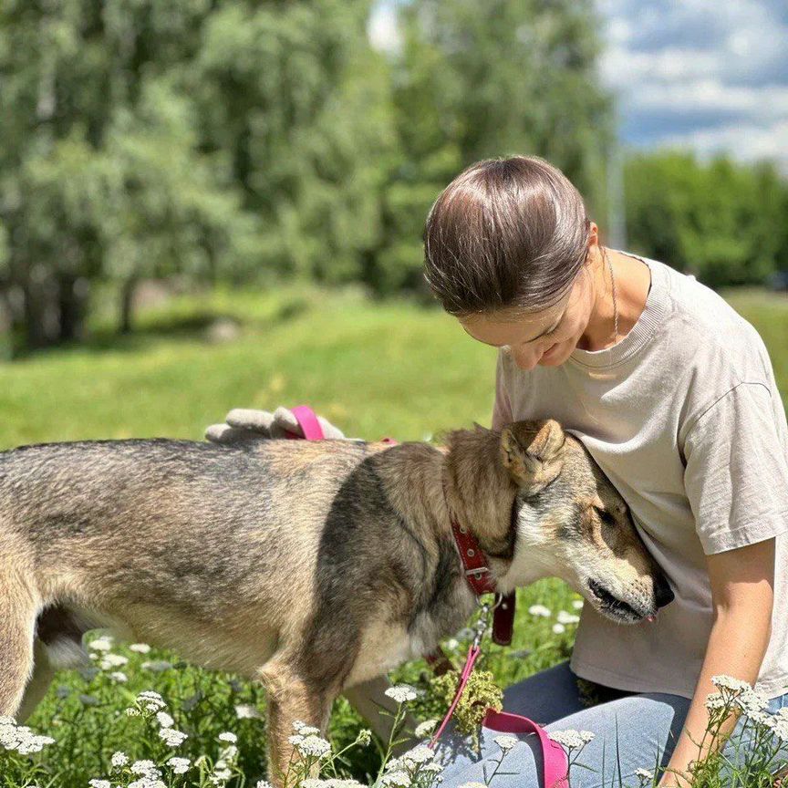 Классный пес из приюта ищет дом