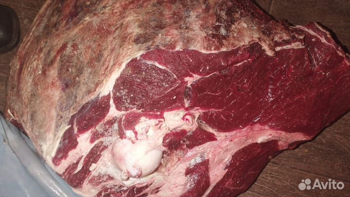 Корм для собак