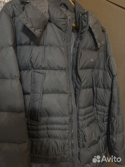 Пуховик мужской Lacoste
