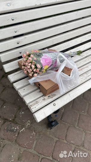 Свой человек в Питере, Курьер, Разовая Доставка