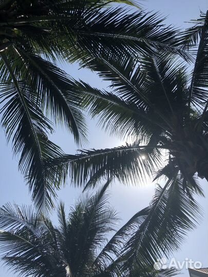 Горящие туры, Путешествия