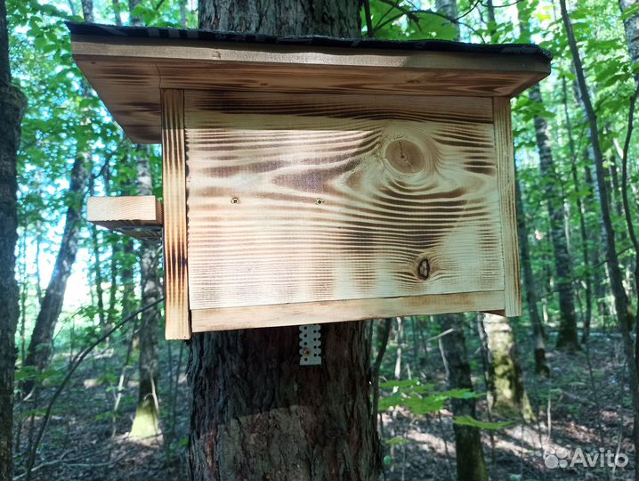 Бельчатник