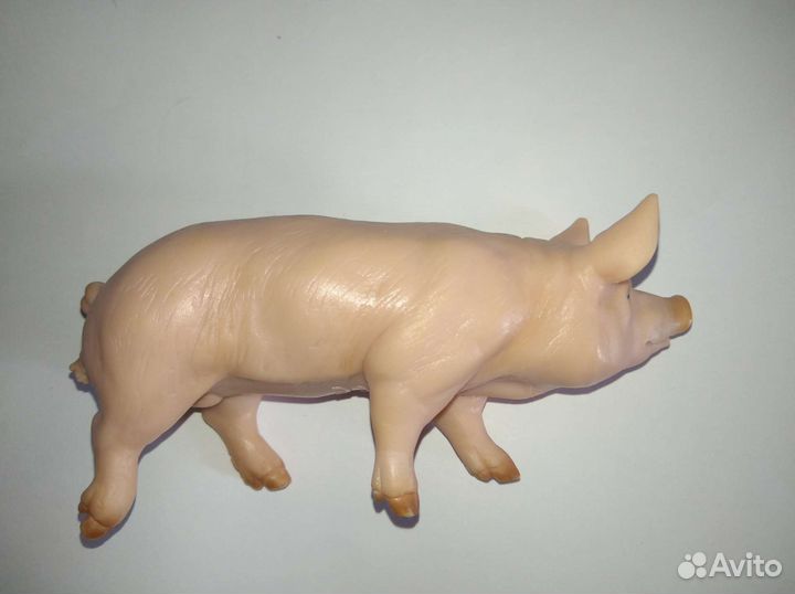 Свинья,ягненок