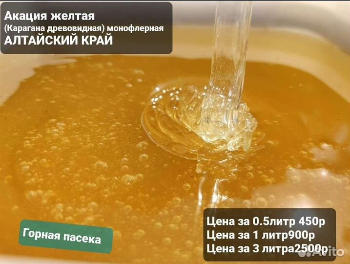 Алтайский Мёд/Мед Акация горная(Карагана)желтая 23