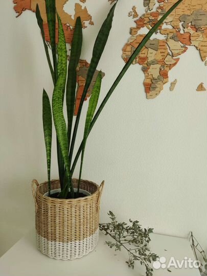 Корзина круглая (кашпо напольное)