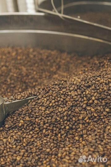 Makala Verde кофе для кафе/вендинга/дома/офиса