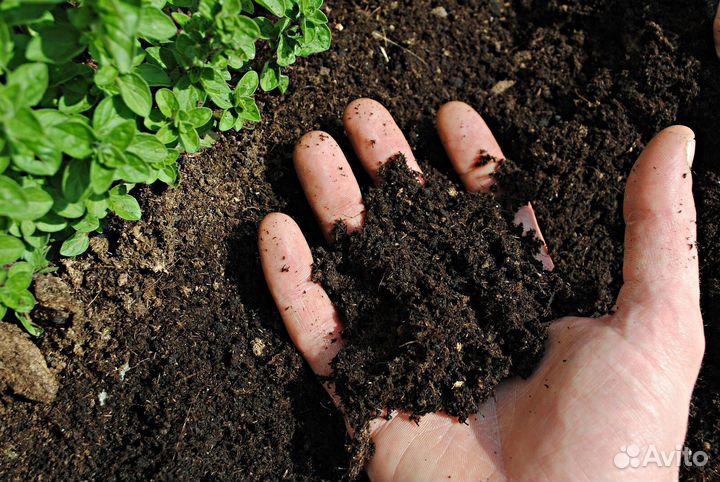 Чернозем торф торфосмесь