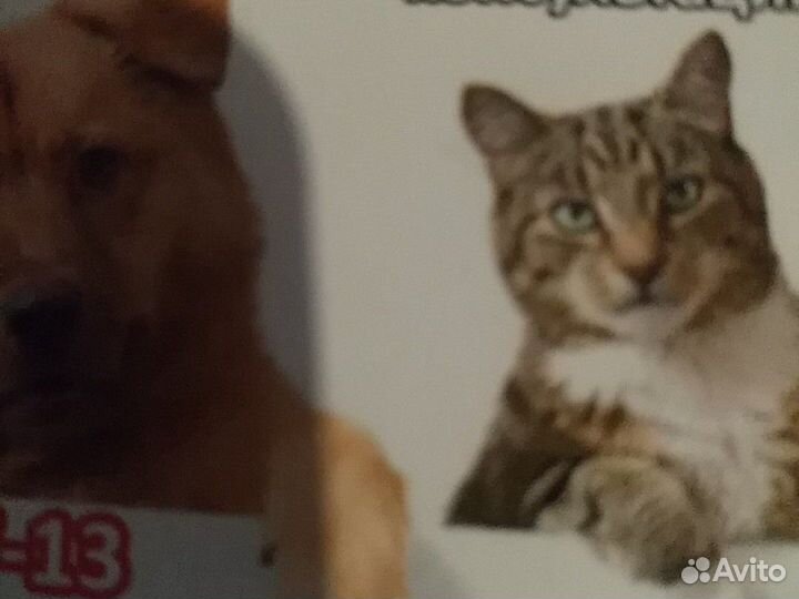 Гостиница для животных