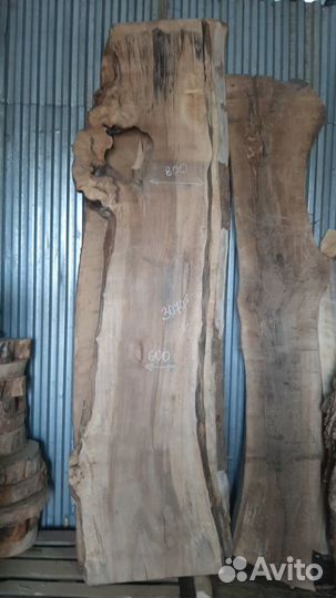 Слэб Спил карагач ясень дуб клён орех бук