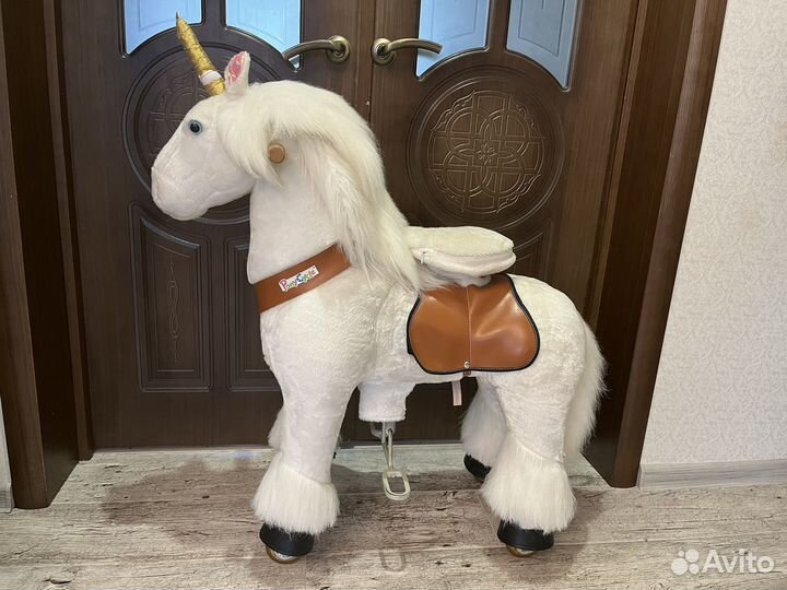 Поницикл большой