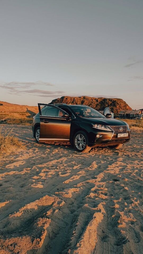 Lexus RX: фото владельца