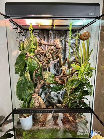 Террариум Палюдариум Hagen Exo-Terra 60x45x90