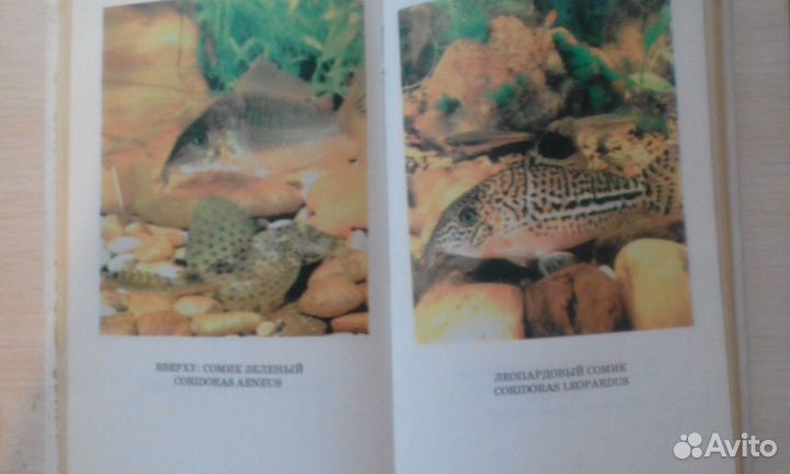 Популярная энциклопедия Аквариумиста