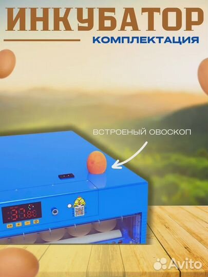 Инкубатор автоматический 256 яиц