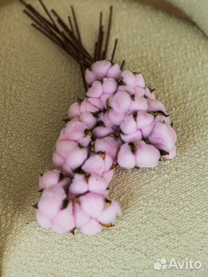 Хлопок 10 веток