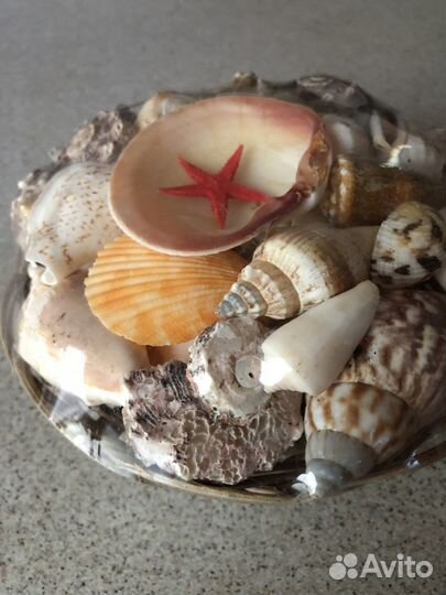 Аквариум 18 литров