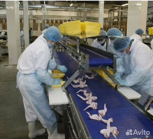 Упаковщик(ца) куриных лап Вахта Проживание