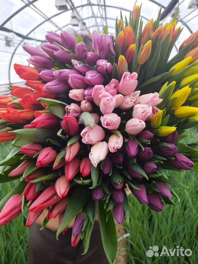 Цветы тюльпаны к 8марта