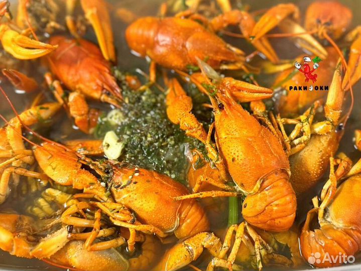 Живые и варенные Раки доставка