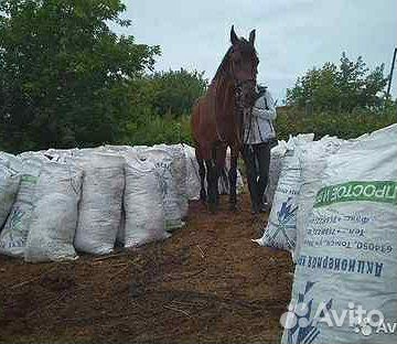 Конский навоз в мешках доставка