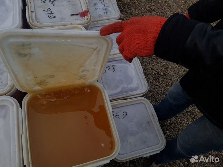 Горный Алтайский мёд