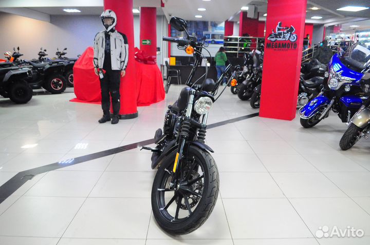 Harley-davidson Sportster 883, 2021 год