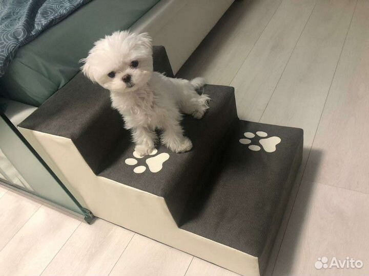 Лесенка, ступеньки для животных