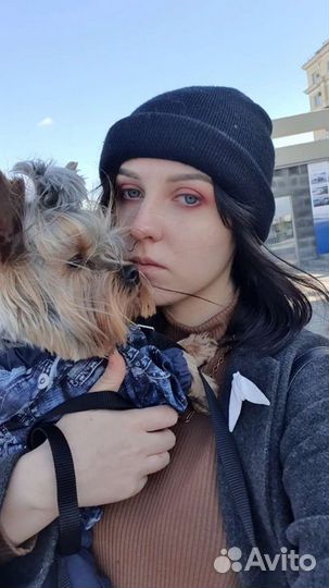 Догситтер / передержка собак, кошек, животных