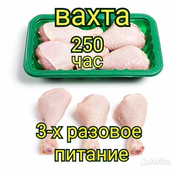 Вахта