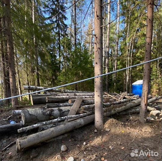 Бесплатно бревна для дров