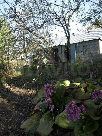 Дача 60 м² на участке 5,6 сот.