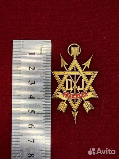 Орден тайного наставника. Стюард