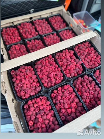 Малина ягоды оптом