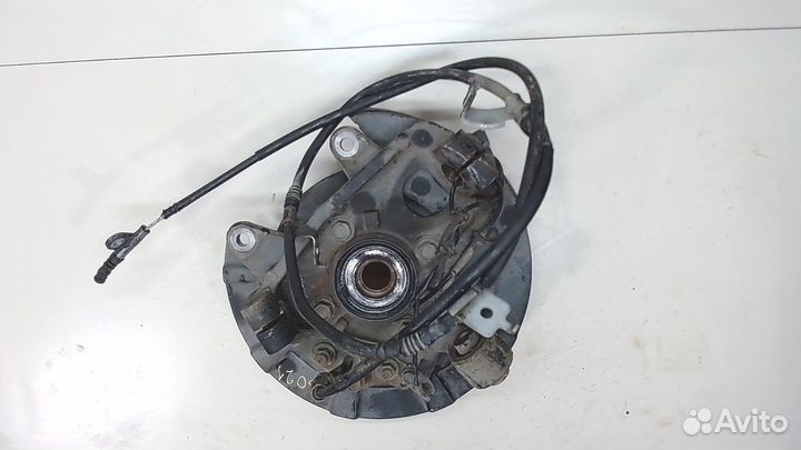 Ступица (кулак, цапфа) Infiniti QX56, 2011