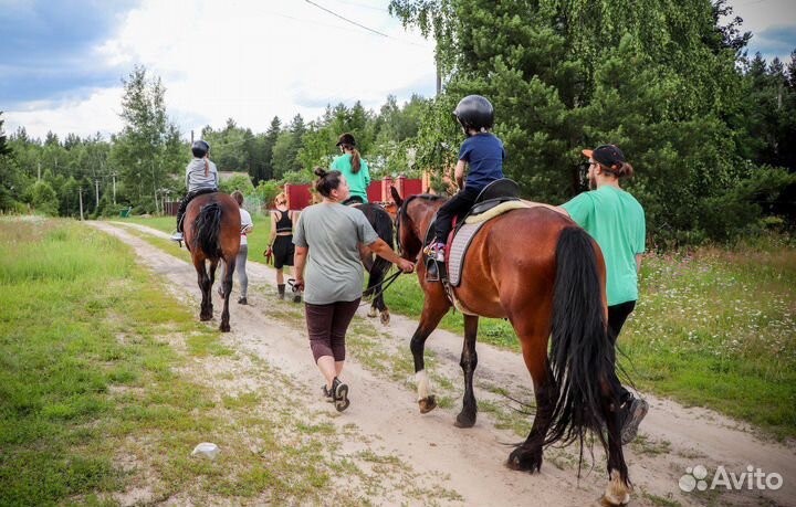 Прогулка на лошадях по лесу