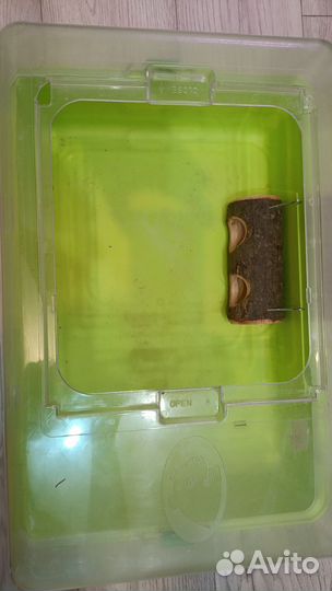 Контейнер для грызунов,хомяка, морской свинки