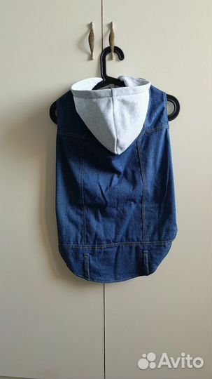 Одежда для собак