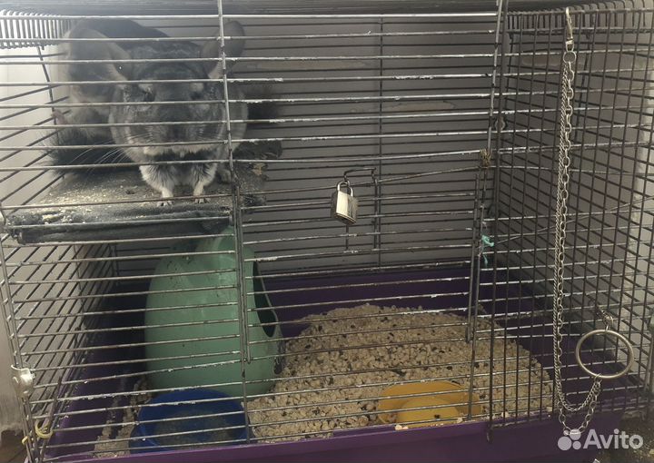 Клетка для грызунов