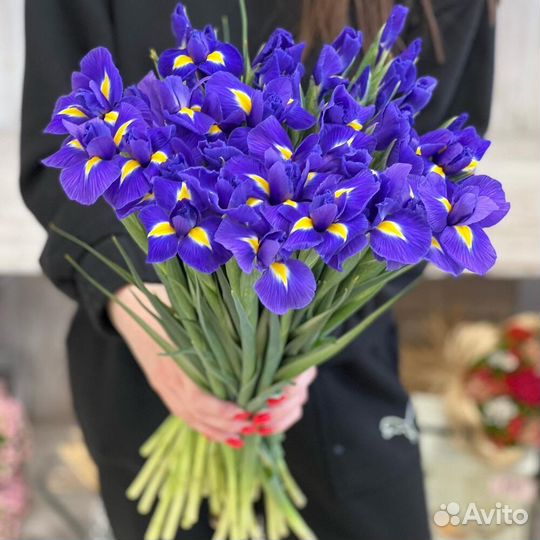 Ирисы. Букеты. Цветы с Доставкой