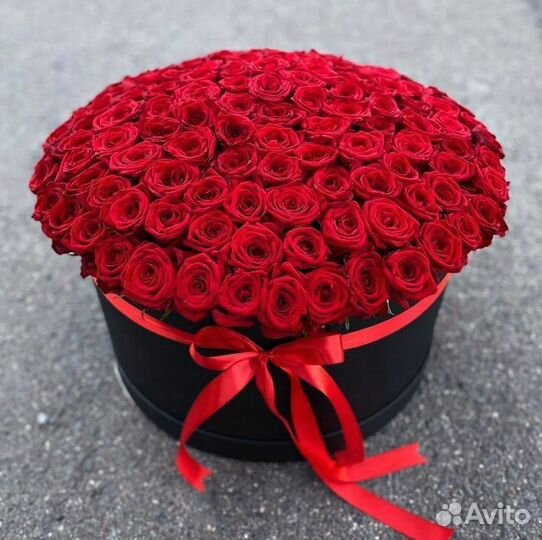 101 роза 51 роза Цветы