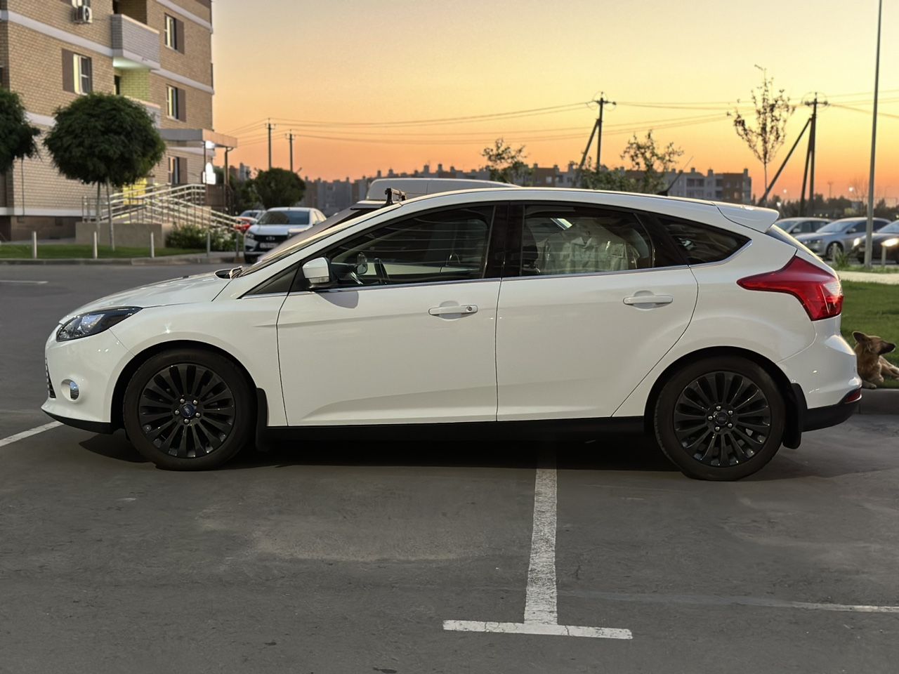 Ford Focus: фото владельца