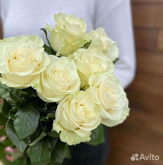 Высокие Розы с Доставкой