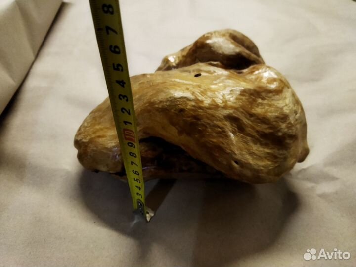 Березовый кап в интерьер