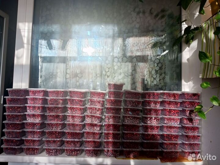 Клюква свежая